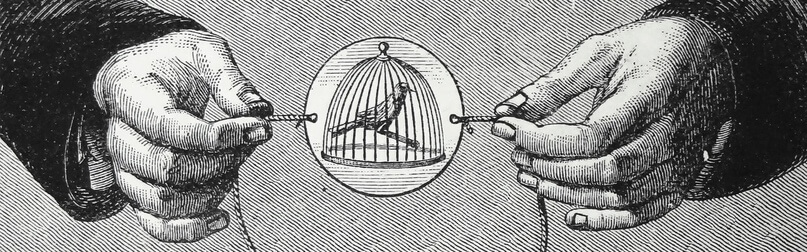 Птица в клетке Пауля Рогета. Фото: Детские страницы
